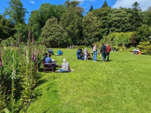 People have gathered around picnic tables on a lawn on a sunny day around picnic benches. Trees and shrubs are in the background. 