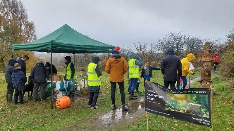 Birdston Regeneration CLF25 (1)