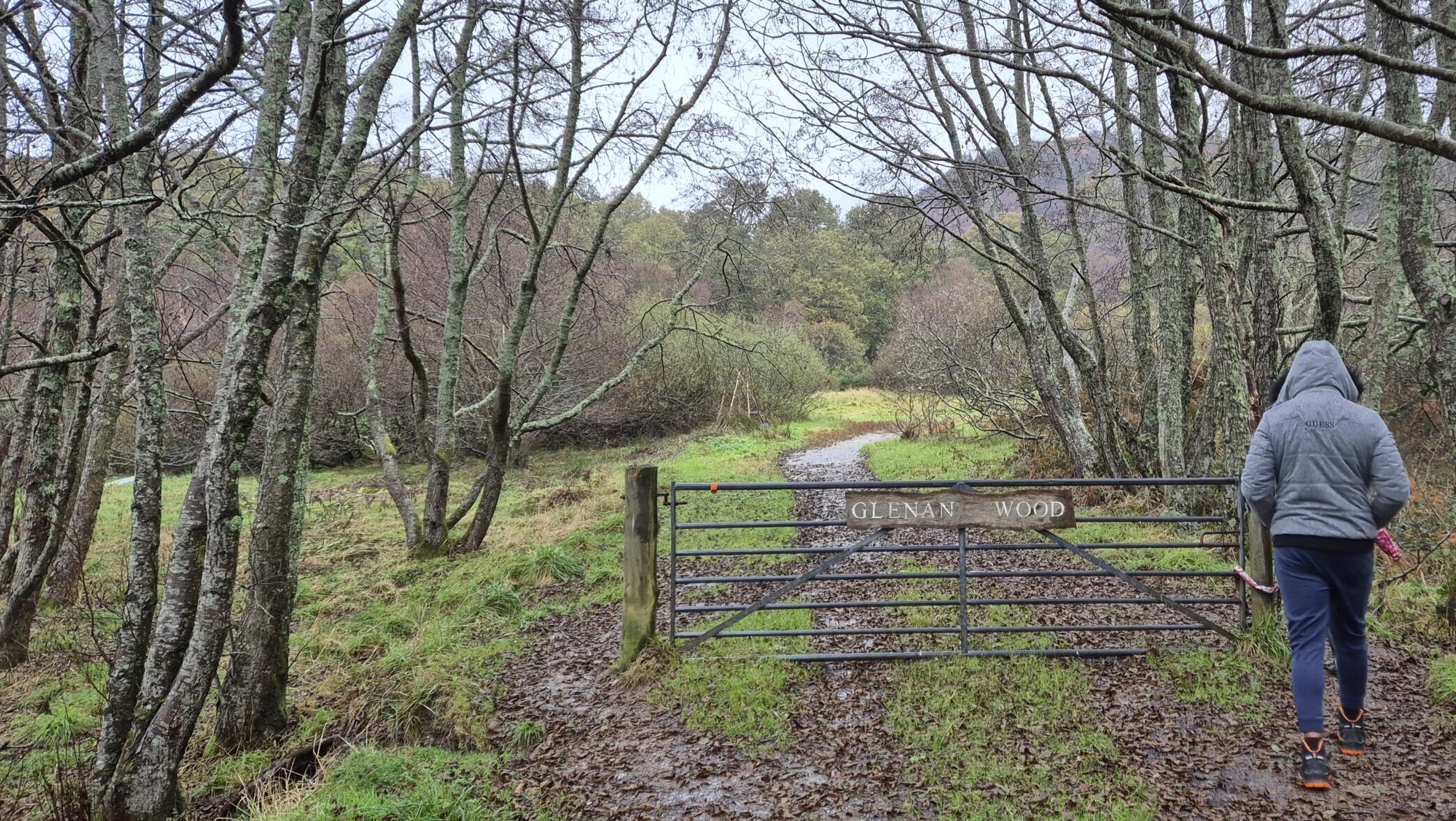 Friends of Glenan Wood CLF25 (2)