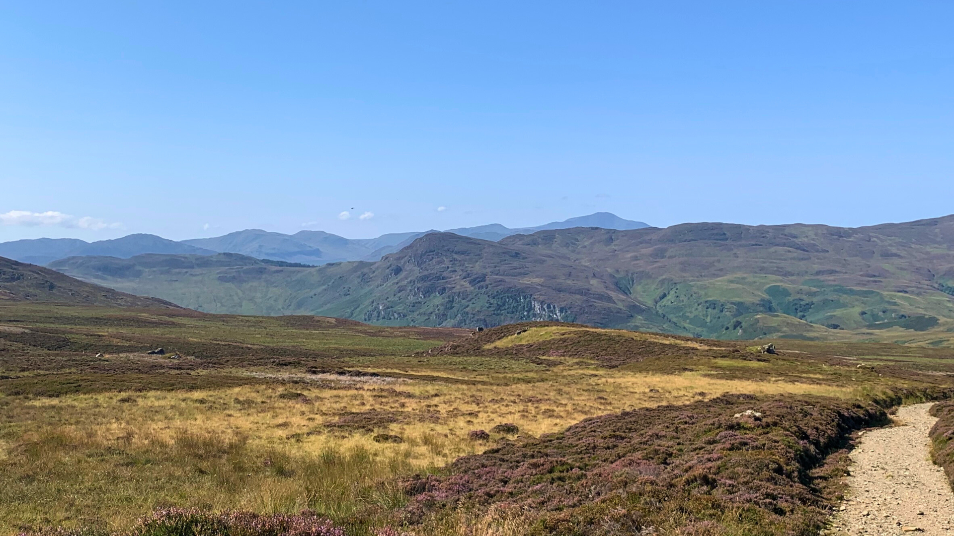 A view across mountain moorland with heather and grass