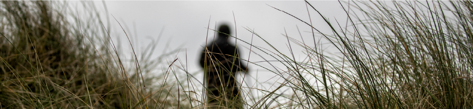 A photograph of a person walking through tall grass. The camera is behind and below the person who is out of focus